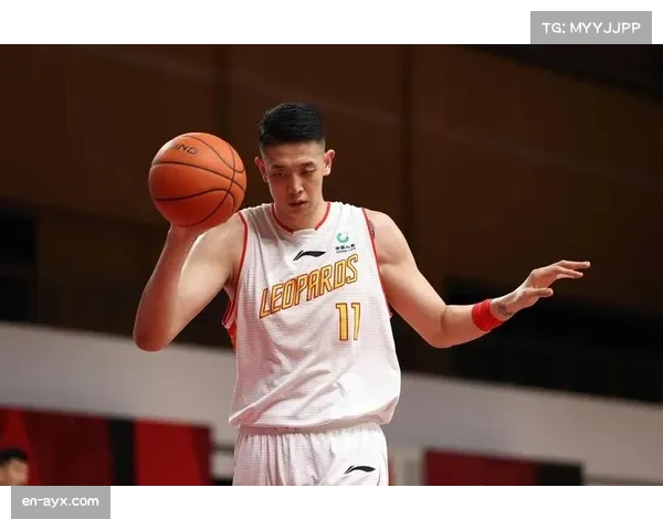 深圳马可波罗内线实力不俗 整体防守稳定性不足 深圳马可波罗内线实力不俗 整体防守稳定性不足